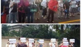 赞皇一中爆料事件视频最新,真相揭开，校园风波再起