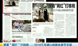 千岛湖新闻爆料电话,揭秘幕后真相