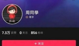 抖音章美娟新闻爆料,揭秘背后真相！”